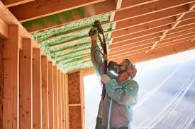 Eco-Friendly or Green Insulation Solutions in Grosse Pointe, MI